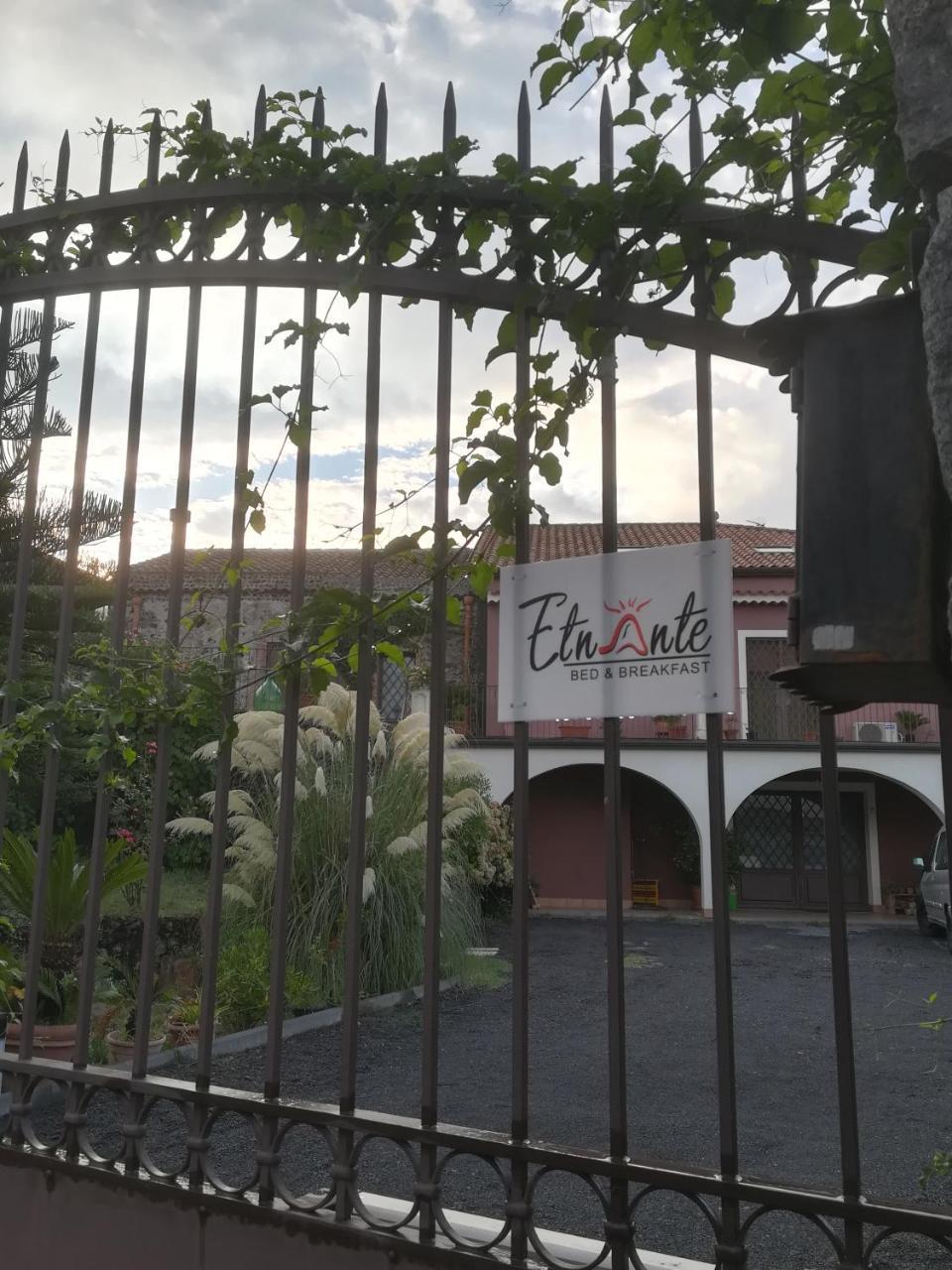 Bed and Breakfast Etnante Zafferana Etnea Zewnętrze zdjęcie