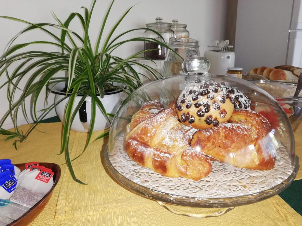 Bed and Breakfast Etnante Zafferana Etnea Zewnętrze zdjęcie